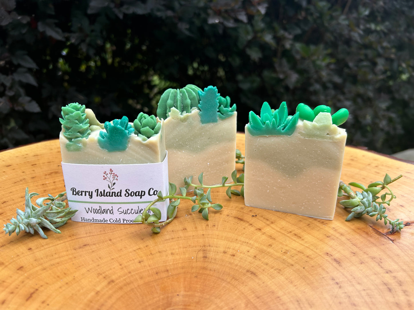Woodland Succulents