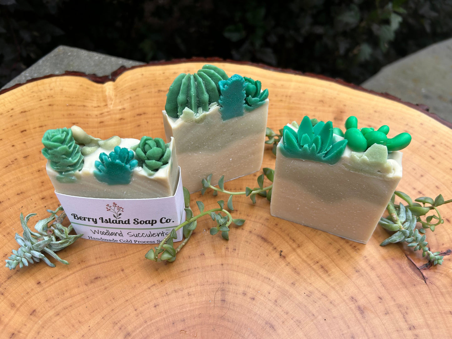 Woodland Succulents